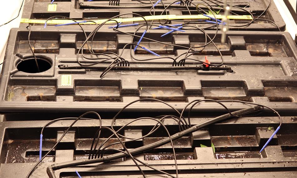 2021-2-2-1639Domovn¡ prohl¡dka 3.JPG